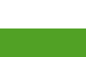 Aalten vlag