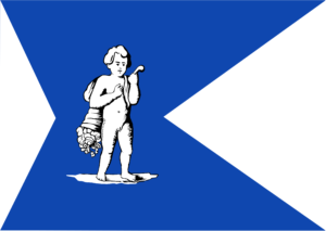 Hengelo vlag