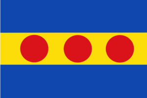 Neede vlag