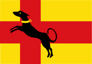 Ruurlo vlag